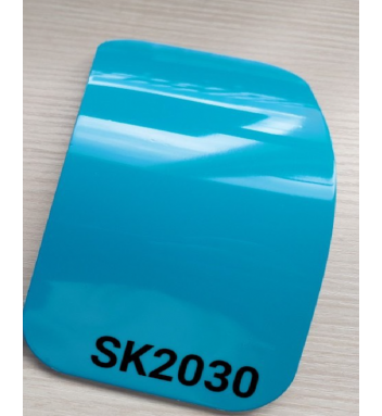 SK 2030