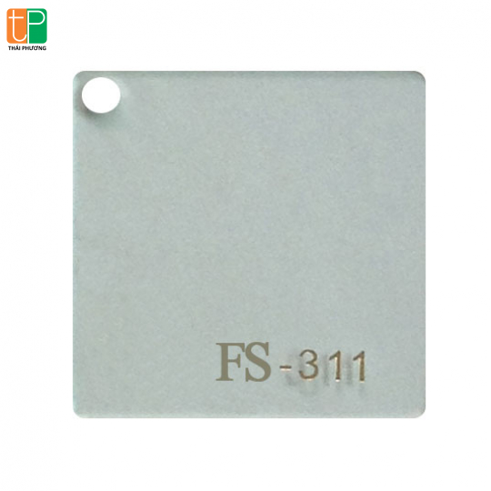 Fs - 311